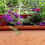 Ante And Dijana Apartamento Starigrad Paklenica