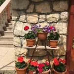 Ante And Dijana * Starigrad Paklenica