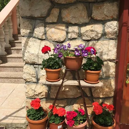 Ante And Dijana * Starigrad Paklenica