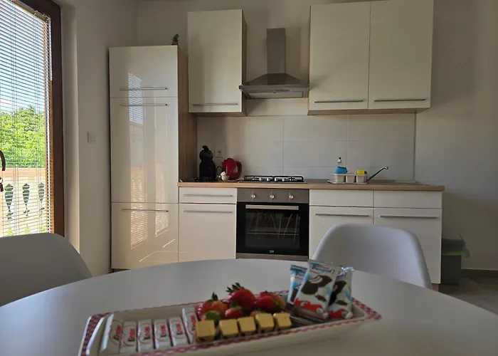 Ante And Dijana 스타리그라드 파클레니차