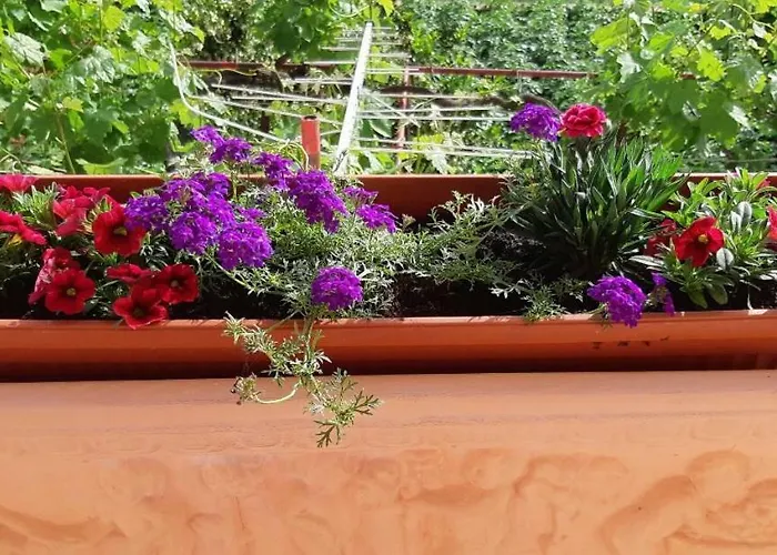 Ante And Dijana 아파트 스타리그라드 파클레니차