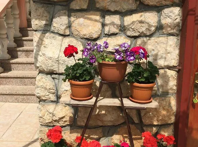Ante And Dijana * Starigrad Paklenica