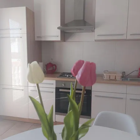 Apartment Ante And Dijana Starigrad Paklenica