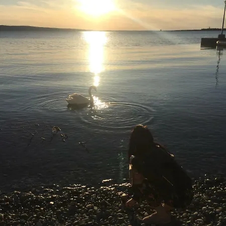 Apartment Ante And Dijana